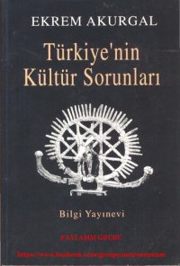 cover of the book Türkiye'nin Kültür Sorunları