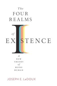 cover of the book The Four Realms of Existence: A New Theory of Being Human