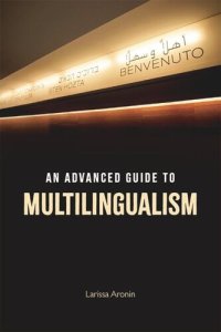 cover of the book An Advanced Guide to Multilingualism