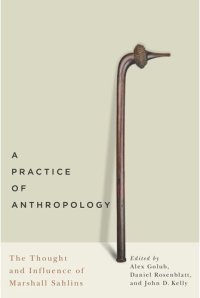 cover of the book A Practice of Anthropology: The Thought and Influence of Marshall Sahlins