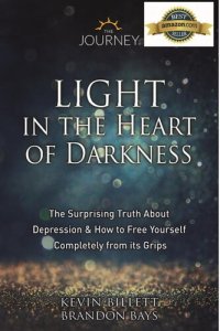 cover of the book The Light in the Heart of Darkness