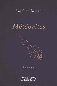 cover of the book Météorites