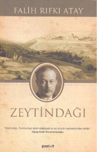 cover of the book Zeytindağı