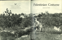 cover of the book Palestinian Costume