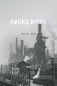 cover of the book Among Ruins