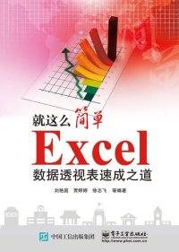 cover of the book Excel数据透视表速成之道