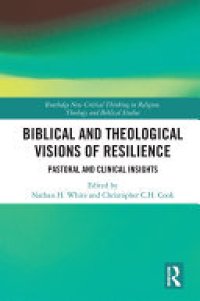 cover of the book Biblical and Theological Visions of Resilience: Pastoral and Clinical Insights