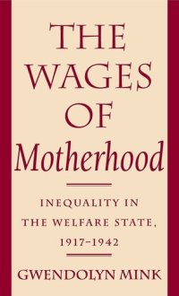 cover of the book The wages of motherhood: inequality in the welfare state, 1917-1942