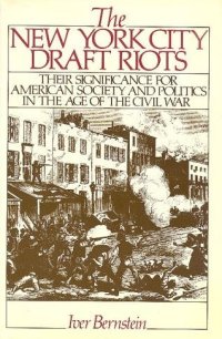 cover of the book The New York City draft riots: their significance for American society and politics in the age of the Civil War