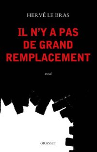 cover of the book Il n'y a pas de grand remplacement