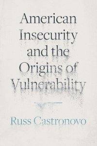 cover of the book American Insecurity and the Origins of Vulnerability