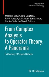 cover of the book From Complex Analysis to Operator Theory: A Panorama : In Memory of Sergey Naboko