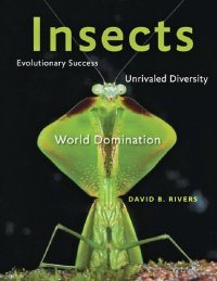 cover of the book Insects. Evolutionary success, unrivaled diversity, and world domination