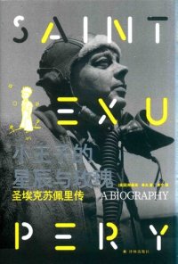 cover of the book 小王子的星辰与玫瑰: 圣埃克苏佩里传