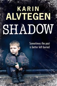 cover of the book Shadow