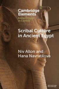 cover of the book Scribal Culture in Ancient Egypt