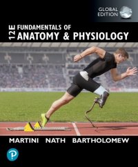 cover of the book Fundamentals of Anatomy and Physiology, Global Edition