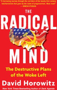 cover of the book The Radical Mind - The Destructive Plans of the Woke Left