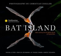 cover of the book Bat Island : A Rare Journey into the Hidden World of Tropical Bats