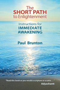 cover of the book The Short Path to Enlightenment: Instructions for Immediate Awakening