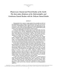 cover of the book Phanerozoic Faunal and Floral Realms of the Earth: The Intercalary Relations of the Malvinokaffric and Gondwana Faunal Realms with the Tethyan Faunal Realm, GSA Memoirs 189, 1996