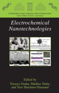 cover of the book Electrochemical Nanotechnologies