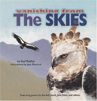 cover of the book The Skies (Vanishing from)