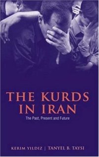 cover of the book The Kurds in Iran: The Past, Present and Future