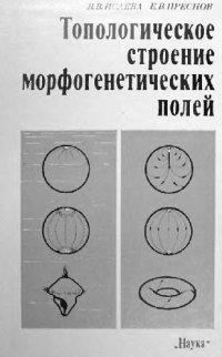 cover of the book Топологическое строение морфогенетических полей