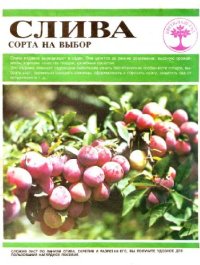 cover of the book СЛИВА. Сорта на выбор