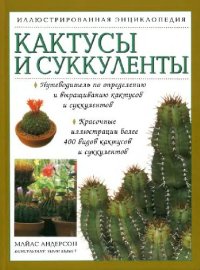 cover of the book Кактусы и суккуленты