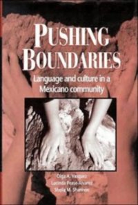 cover of the book Pushing Boundaries: Language and Culture in a Mexicano Community