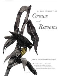 cover of the book In the Company of Crows and Ravens