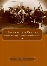 cover of the book Unexpected Places: Relocating Nineteenth-Century African American Literature (Margaret Walker Alexander Series in African American Studies)