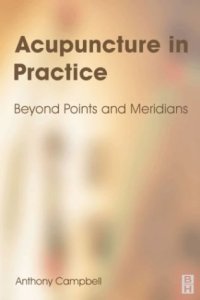 cover of the book Acupuncture in Practice: Beyond Points and Meridians