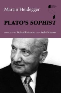 cover of the book Plato's Sophist