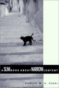 cover of the book A Slim Book about Narrow Content