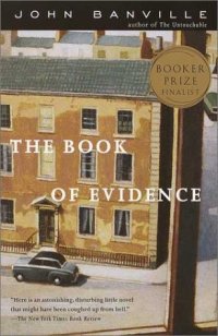 cover of the book The Book of Evidence