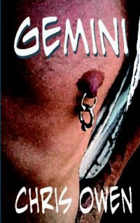 cover of the book Gemini