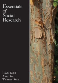 cover of the book Essentials of Social Research