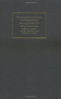 cover of the book Ethnicity, Social Mobility, and Public Policy: Comparing the USA and UK