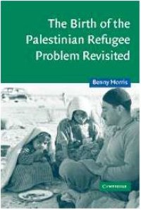 cover of the book The Birth of the Palestinian Refugee Problem Revisited