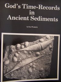 cover of the book God's time-records in ancient sediments: Evidences of long time spans in Earth's history