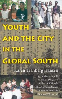 cover of the book Youth and the City in the Global South (Tracking Globalization)