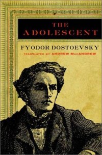 cover of the book The Adolescent