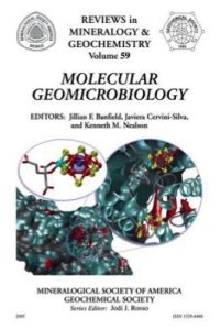 cover of the book Molecular Geomicrobiology