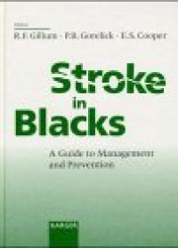 cover of the book Stroke in Blacks: A Guide to Management and Prevention