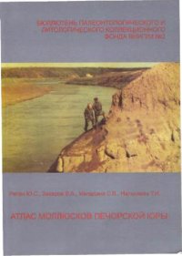 cover of the book Атлас моллюсков Печорской юры