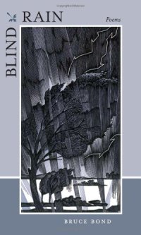 cover of the book Blind Rain: Poems