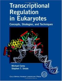 cover of the book Transcriptional Regulation in Eukaryotes: Concepts, Strategies, and Techniques